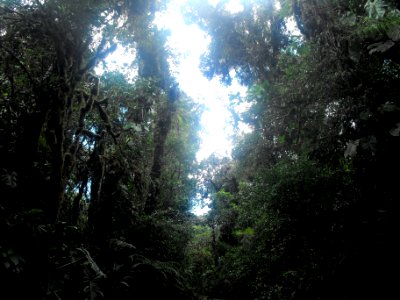 DSCF0134