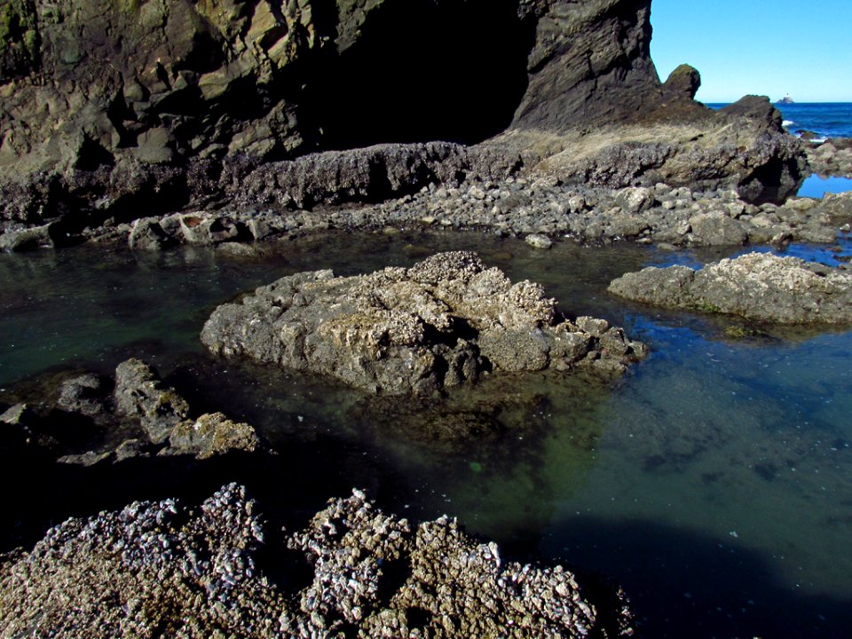 Low Tide at Pacific Coast in OR