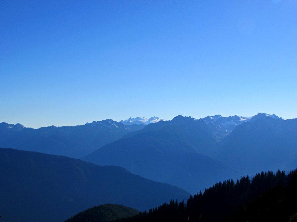 Hurricane Ridge at Olympic NP in WA