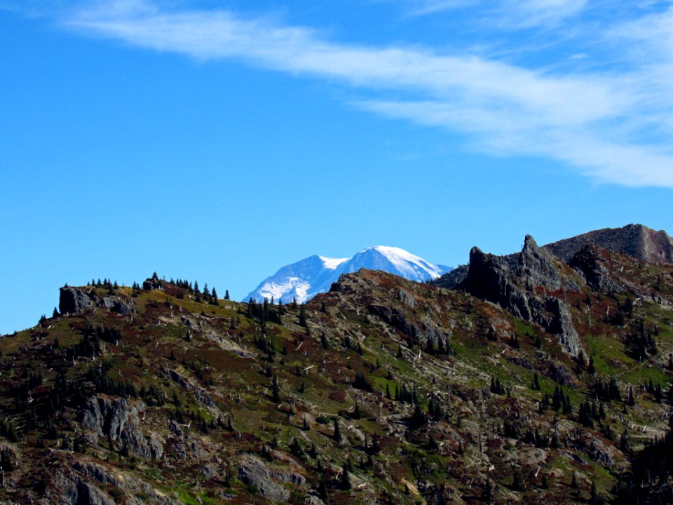 Mt. Rainier at Mt. Margaret Backcountry in WA