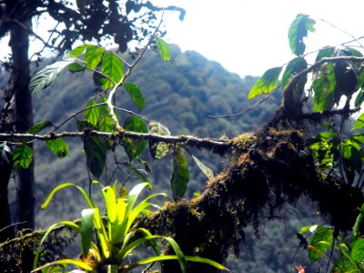 DSCF0165