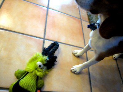 It's My Toy and I'll Destroy it if I Want To