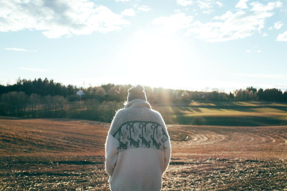 Field outside landscape