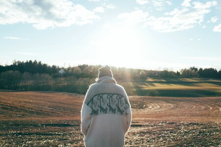 Field outside landscape
