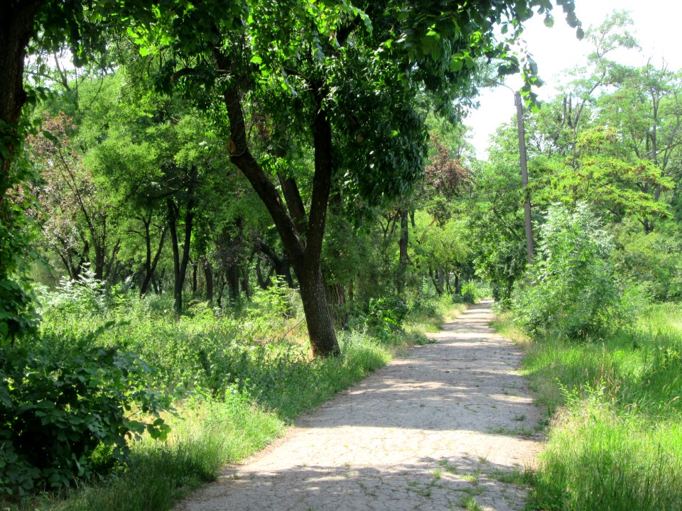 Kirov ParkTiraspol PMR Transnistria