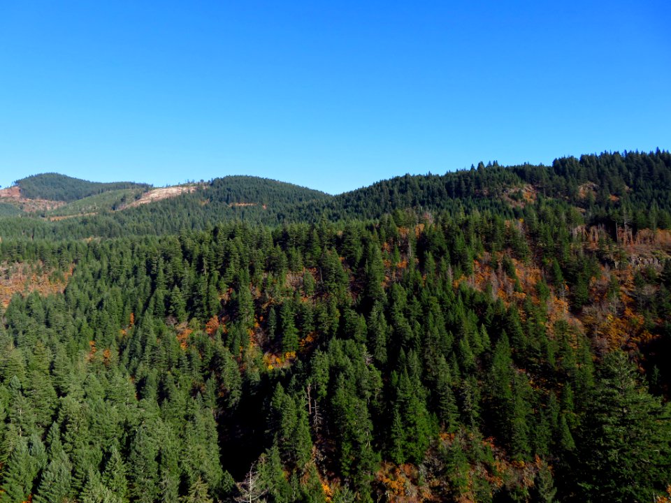 Spirit Falls Trail on Little White Salmon River in WA
