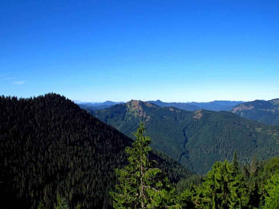 Tatoosh Wilderness in WA