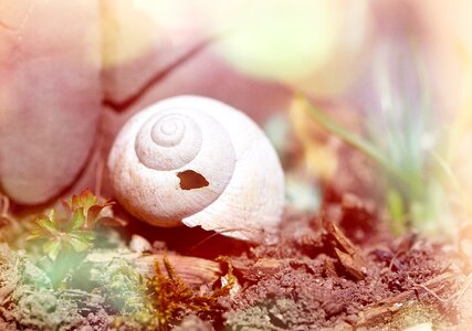 Empty damaged nature