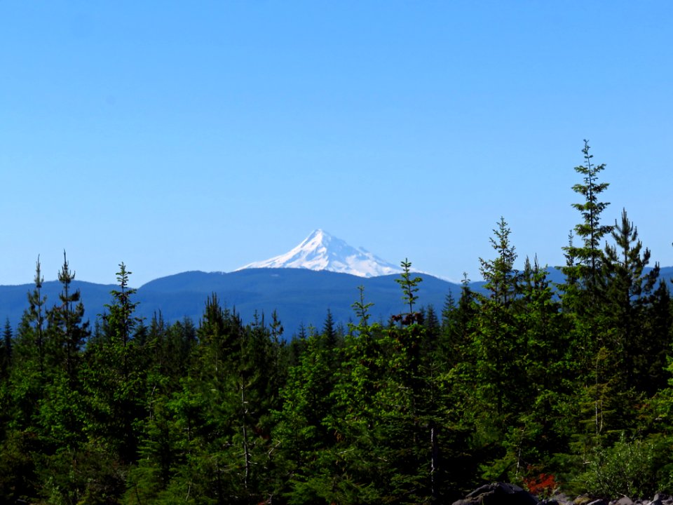View of Mt. Hood at Mt. St. Helens NM in Washington