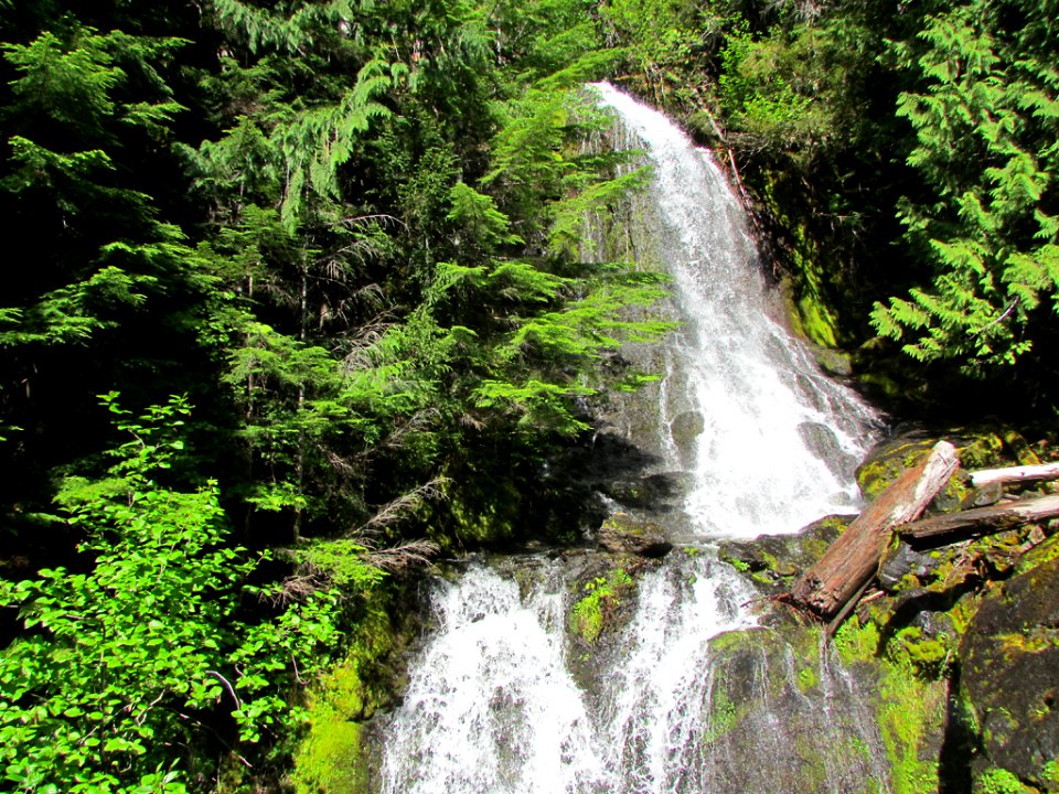Waterfall at Mt. Rainier NP in WA