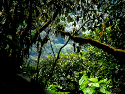 DSCF0154