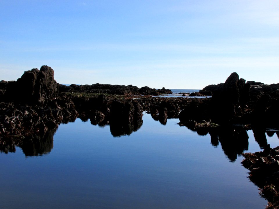 Tidal Pool at Yaquina Head in OR