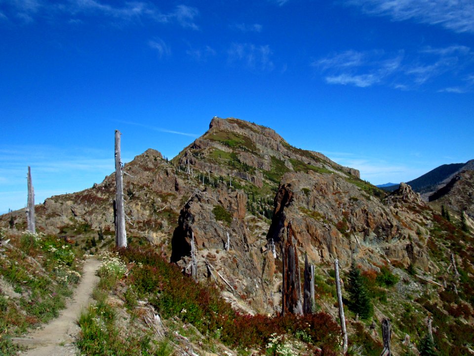 Mt. Margaret Backcountry in WA