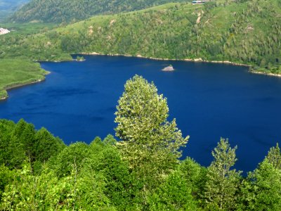 Coldwater Lake Trail at Mt. St. Helens NM in Washington photo