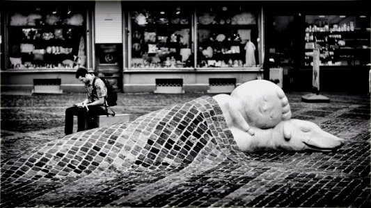 A Dog of Flanders (BW version)