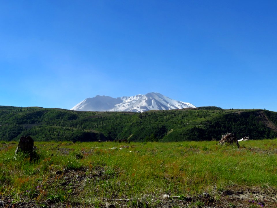 Coldwater Lake Trail at Mt. St. Helens NM in Washington