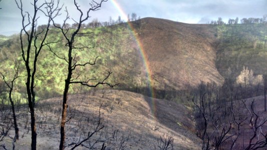 Judge Davis Rocky Fire in Ukiah Field Office