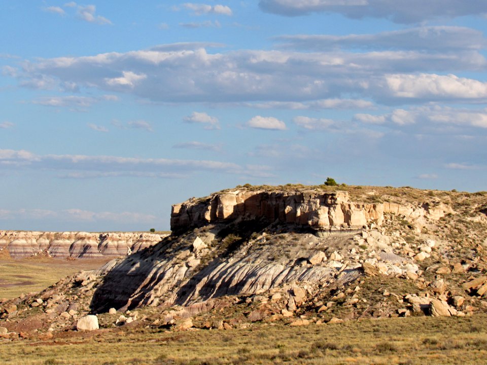 Petrified Forest NP in Arizona