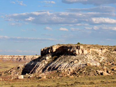 Petrified Forest NP in Arizona photo