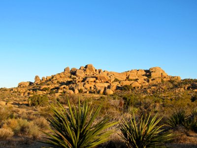 Joshua Tree NP in California