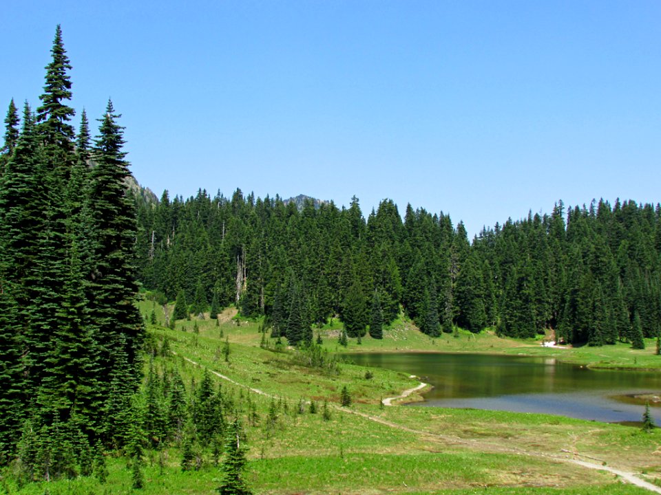Tipsoo Lake at Mt. Rainier NP in WA