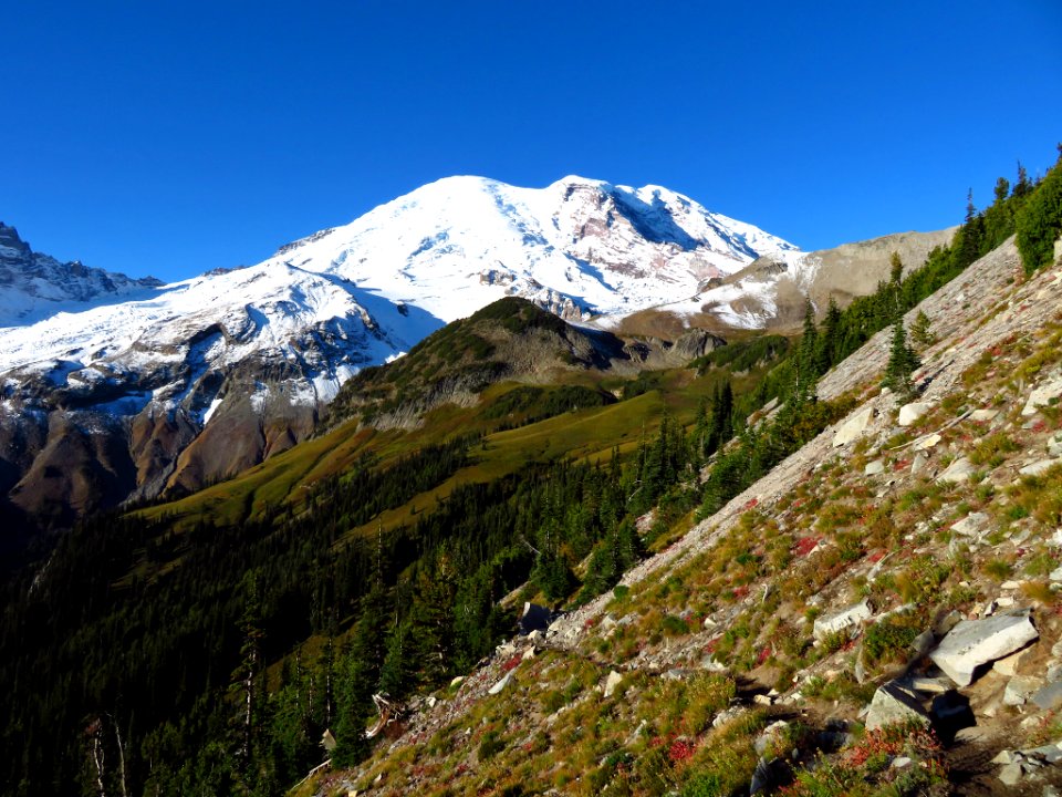 Burroughs Mt. Trail at Mt. Rainier NP in WA