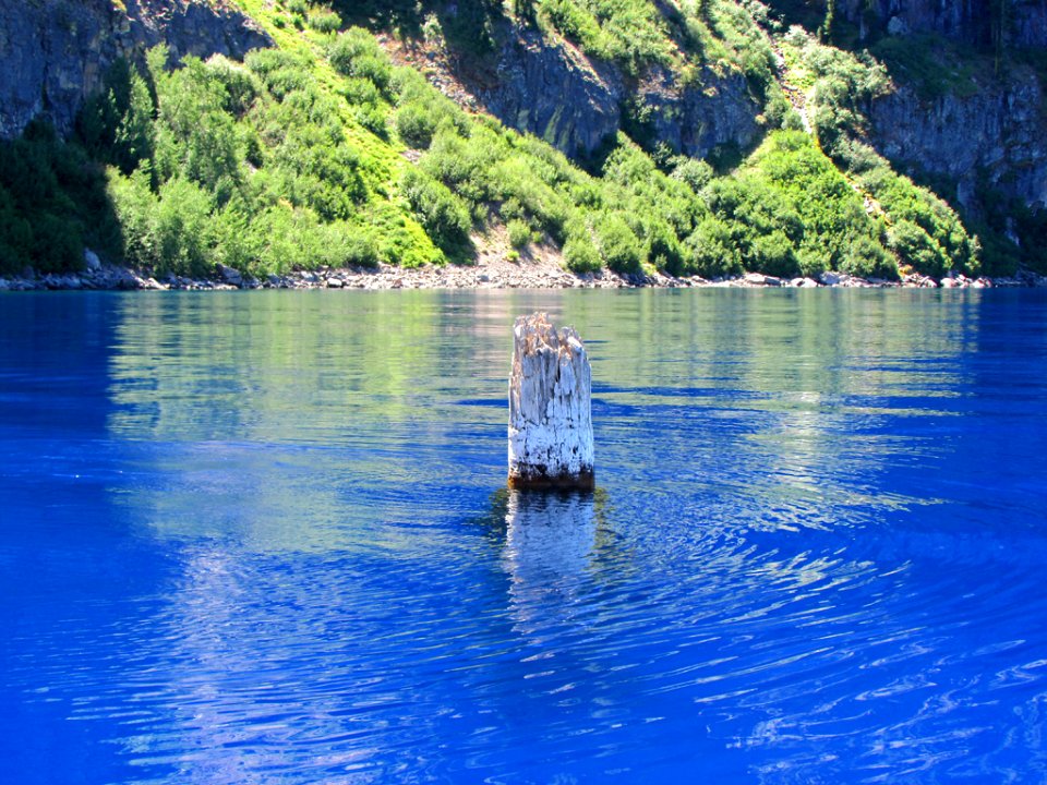 Old Man of The Lake at Crater Lake NP in OR