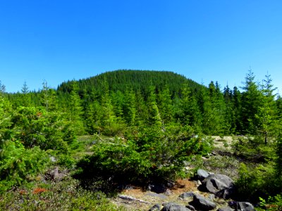 Lahar Viewpoint at Mt. St. Helens NM in Washington