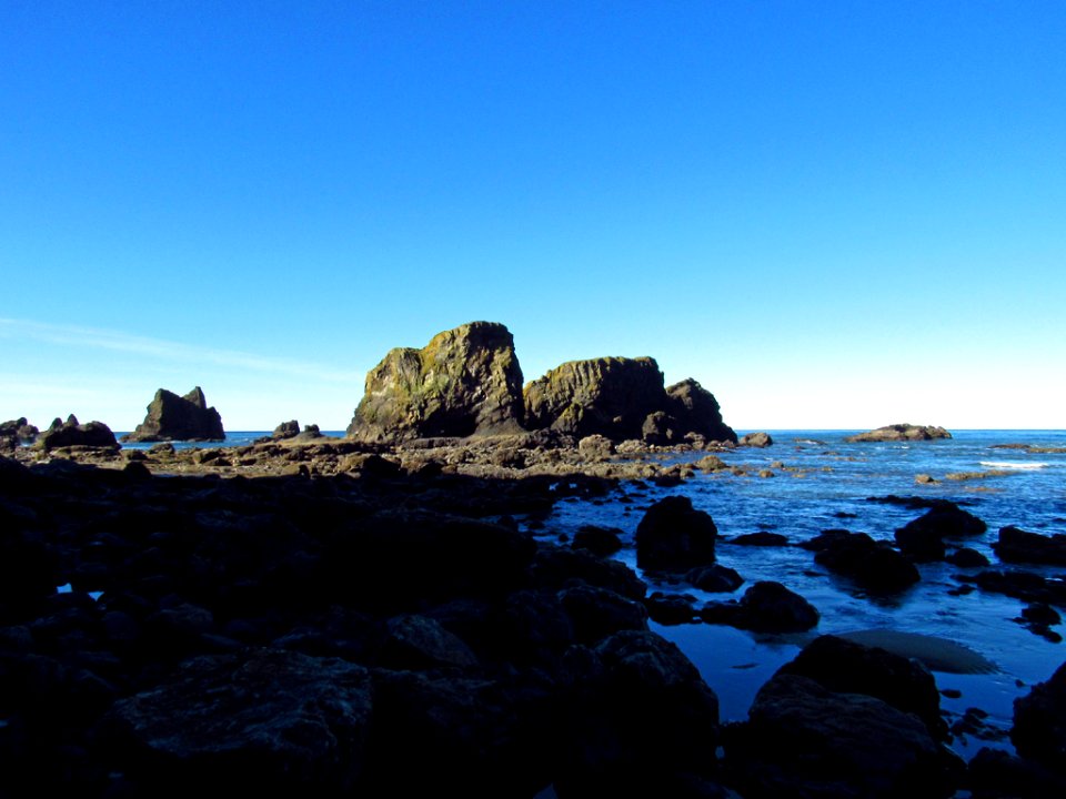 Low Tide at Pacific Coast in OR photo