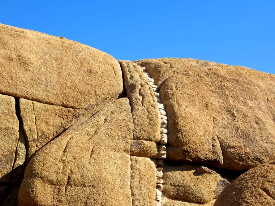 Joshua Tree NP in CA