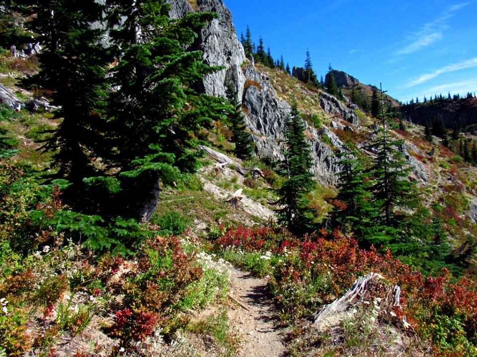 Mt. Margaret Backcountry in WA