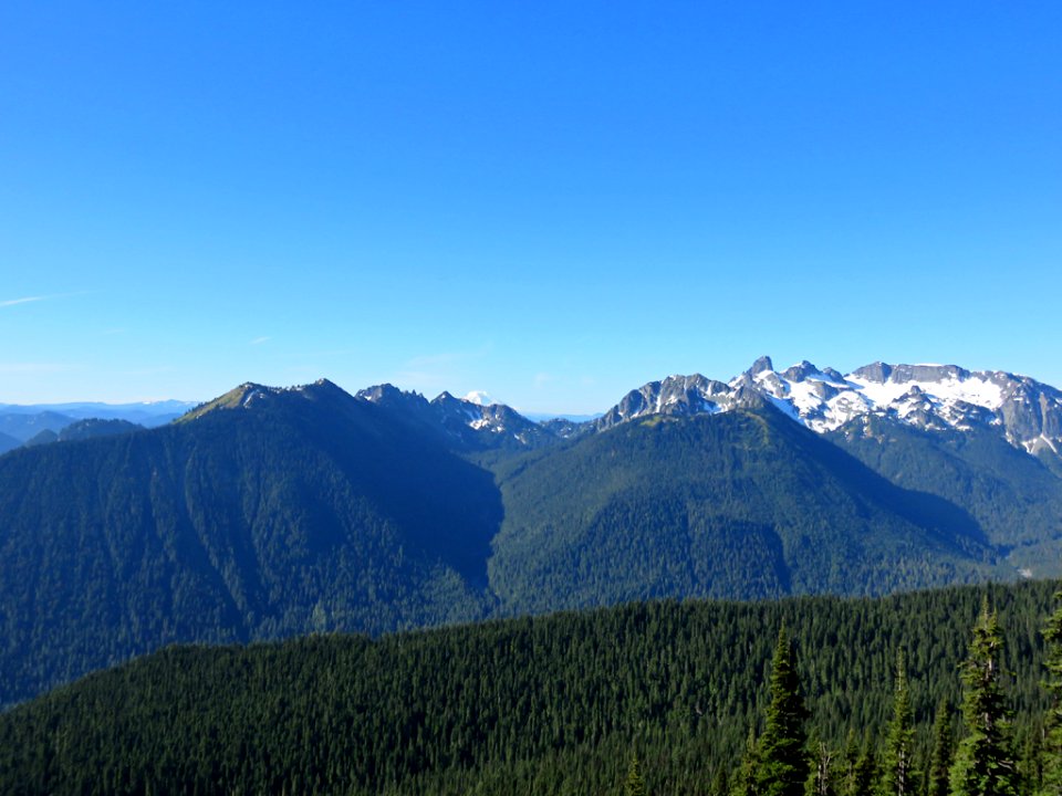 Mt. Rainier NP in WA