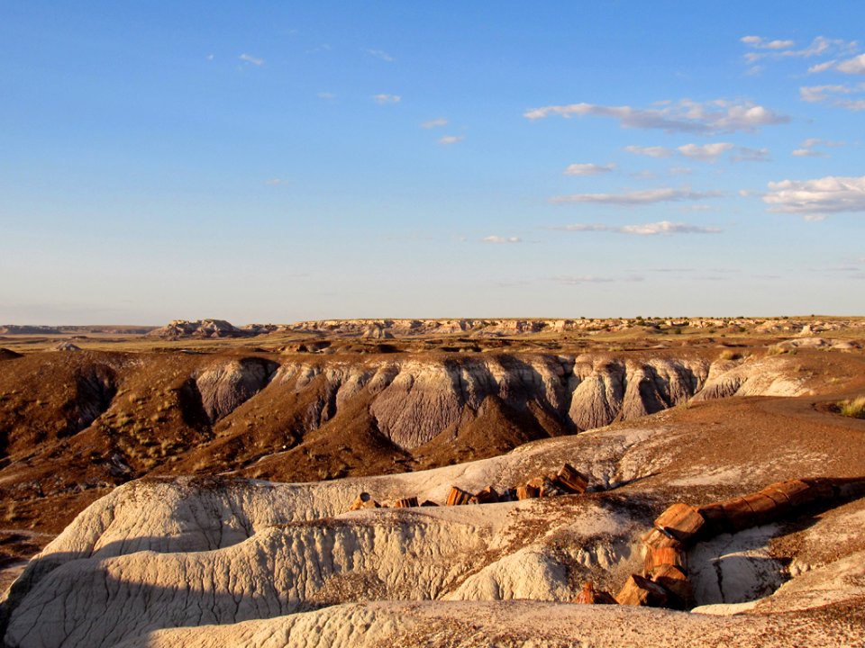 Crystal Forest at Petrified Forest NP in Arizona