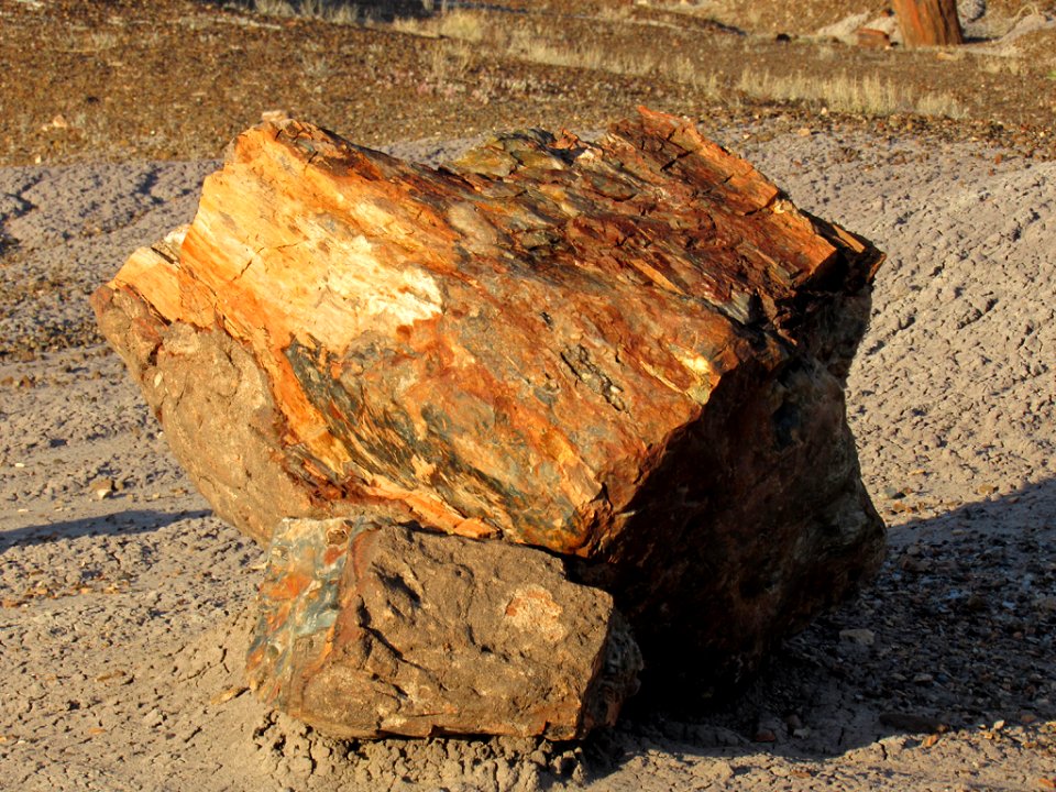 Crystal Forest at Petrified Forest NP in Arizona