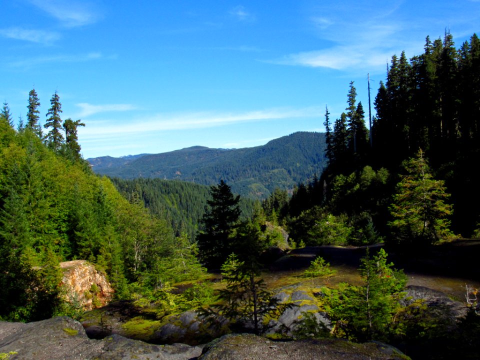 Lava Canyon Trail in WA