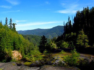 Lava Canyon Trail in WA