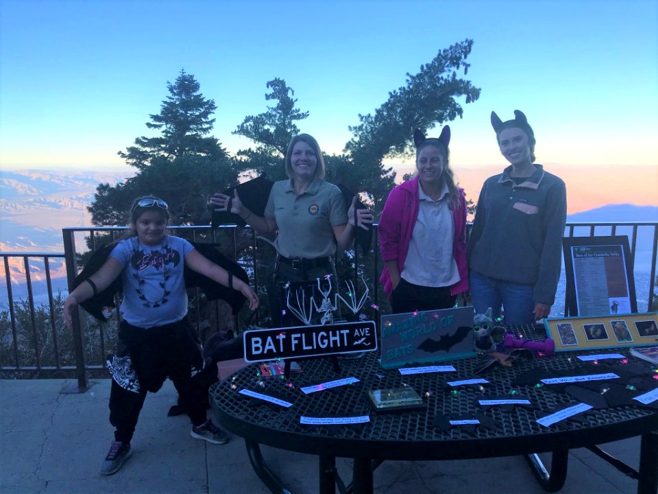 Interns and youth volunteers celebrate Bat Week, Palm Springs South Coast Field Office
