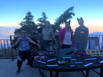 Interns and youth volunteers celebrate Bat Week, Palm Springs South Coast Field Office