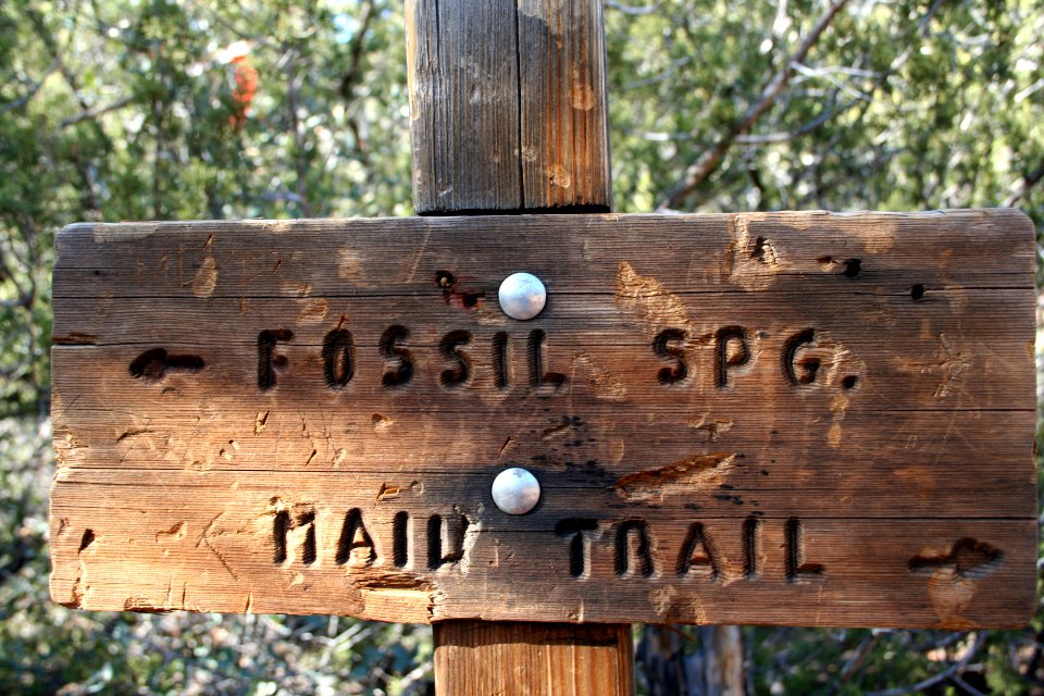 Trail Junction at Bottom
