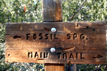 Trail Junction at Bottom