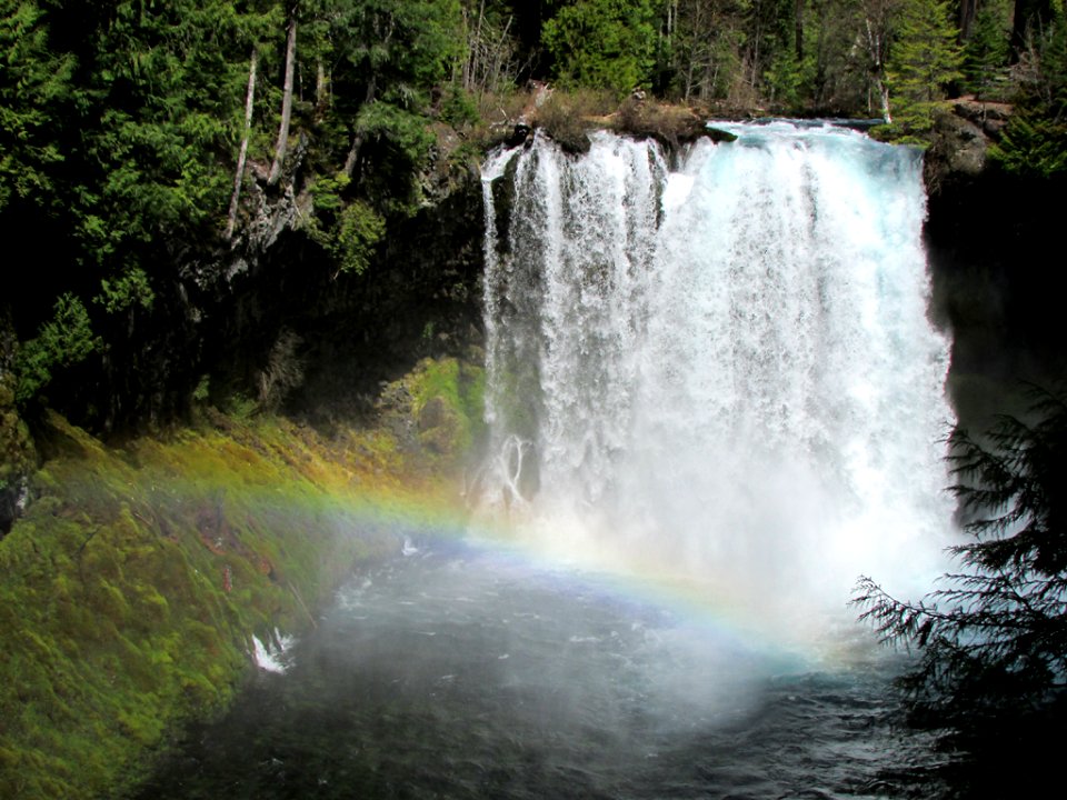 Koosah Falls at McKenzie River in Central OR