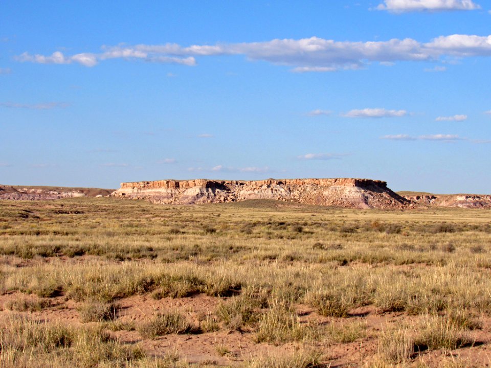 Petrified Forest NP in Arizona