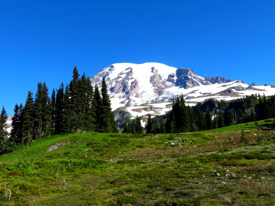 Skyline Trail at Mt. Rainier NP in WA