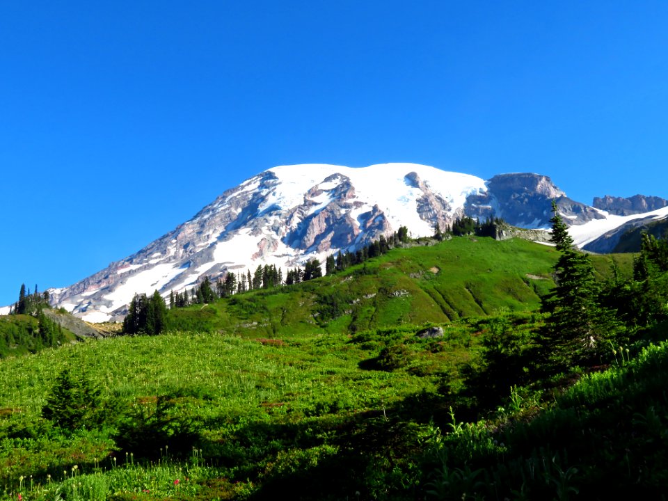 Skyline Trail at Mt. Rainier NP in WA