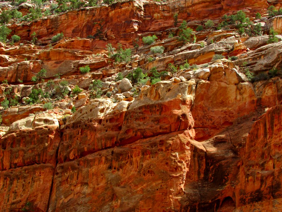Capitol Reef NP in Utah