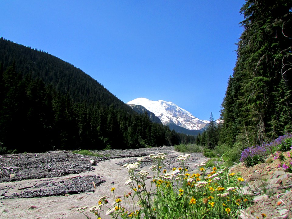 White River at Mt. Rainier NP in WA