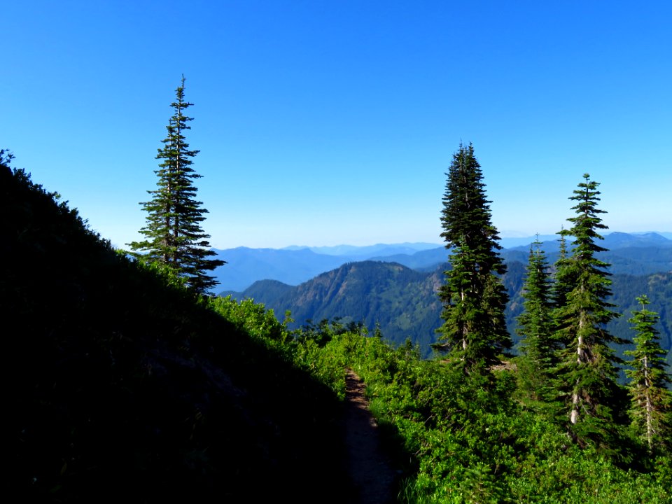 Tatoosh Peak Trail in WA