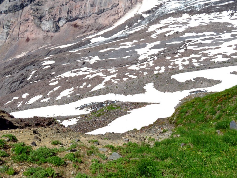 Skyline Trail at Mt. Rainier NP in WA