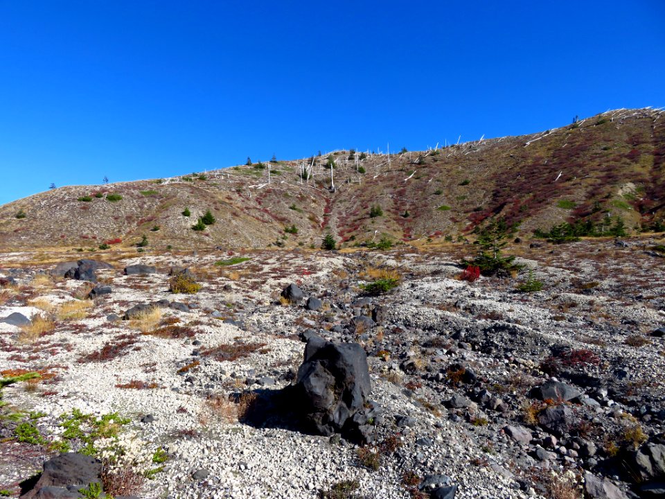 Plains of Abraham Trail in WA