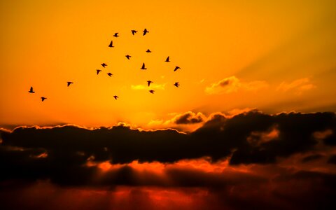 Orange nature view